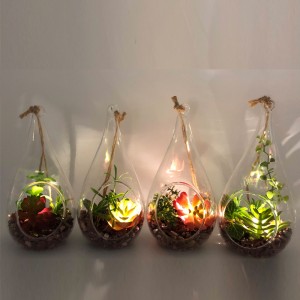 LED Glass Tabletop Decorative Artificial Succulent Plants With  Globe Display Vase