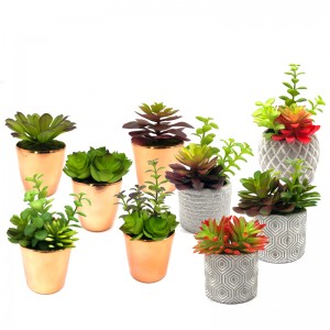 Mini Artificial Succulent Plants With Pot Tabletop Decorative Globe Display Home Decor