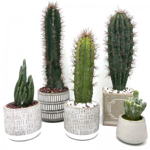 Modern Artificial Cactus Home Or Office In Decorative Pot Succulent Decoration